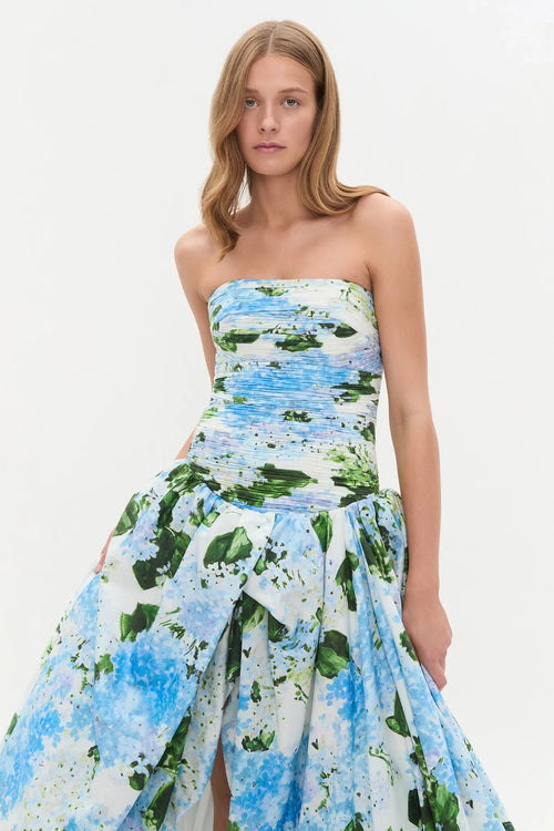 Behold Maxi Dress - Blue hydrangea