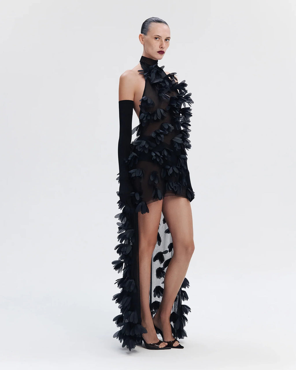 Midnight Petal Hi-Lo Dress
